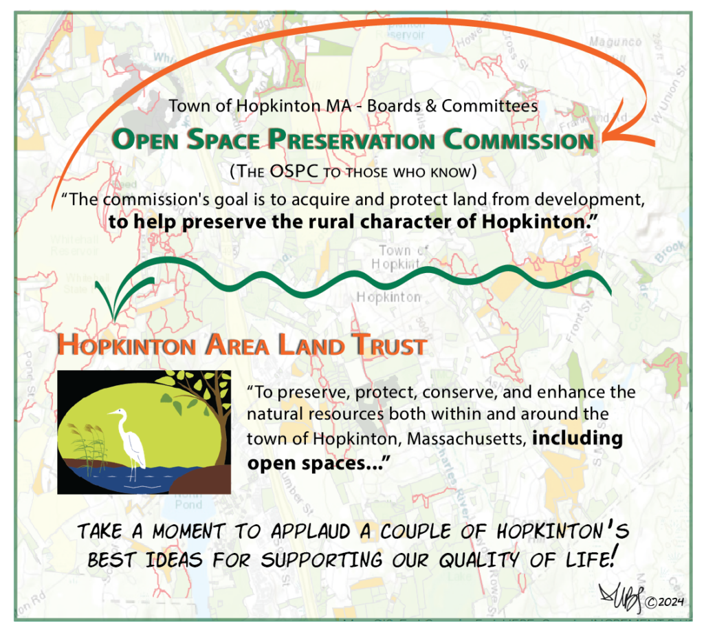 Hopkintons Best Ideas