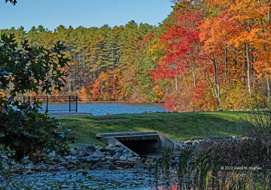The colors are out at Lake Whitehall