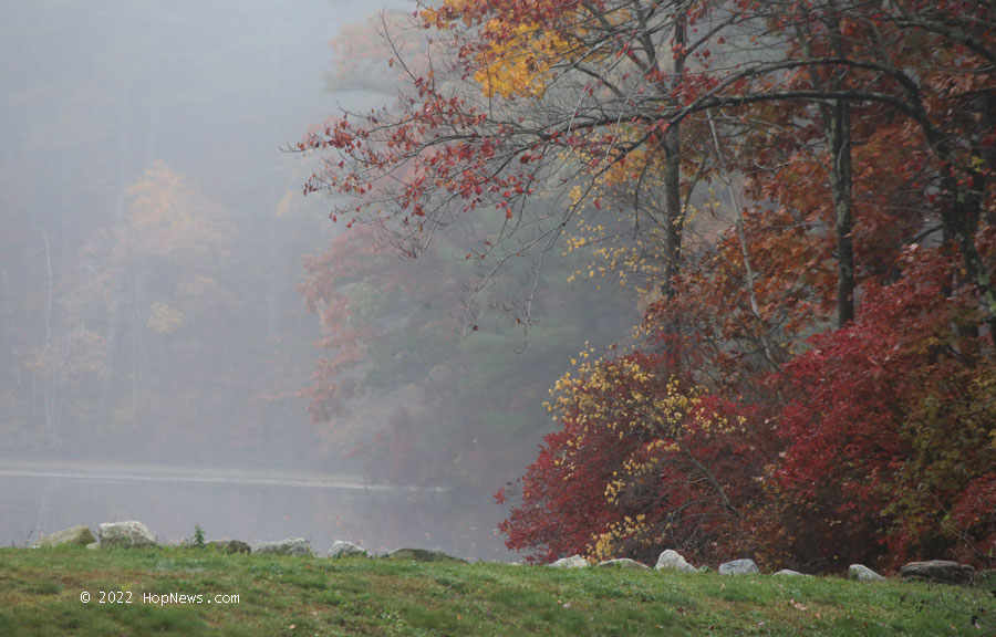 Lake Whitehall fog