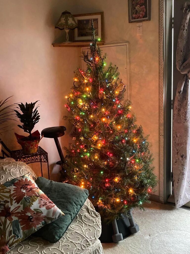 HCP Tree
