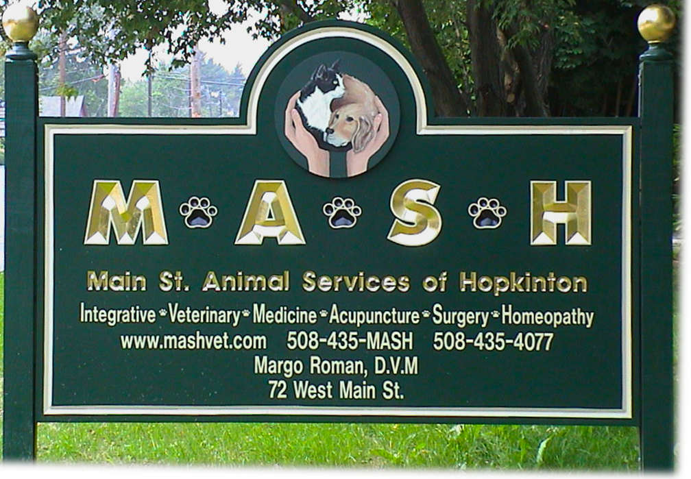 Main Street Animal Services of Hopkinton, or MASH.