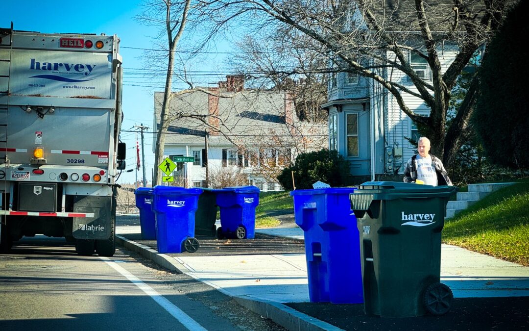 Bins, Bikes, and Bruises: The Chaotic Thursdays of Main Street