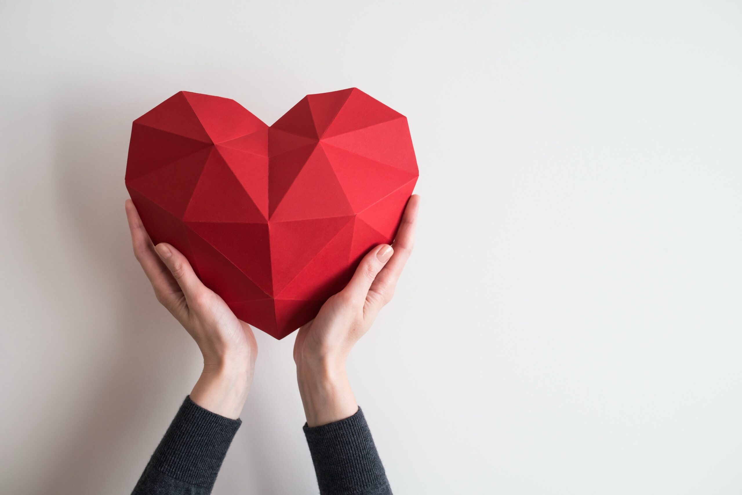 Giving Tuesday is today. Here are 5 charities we love.