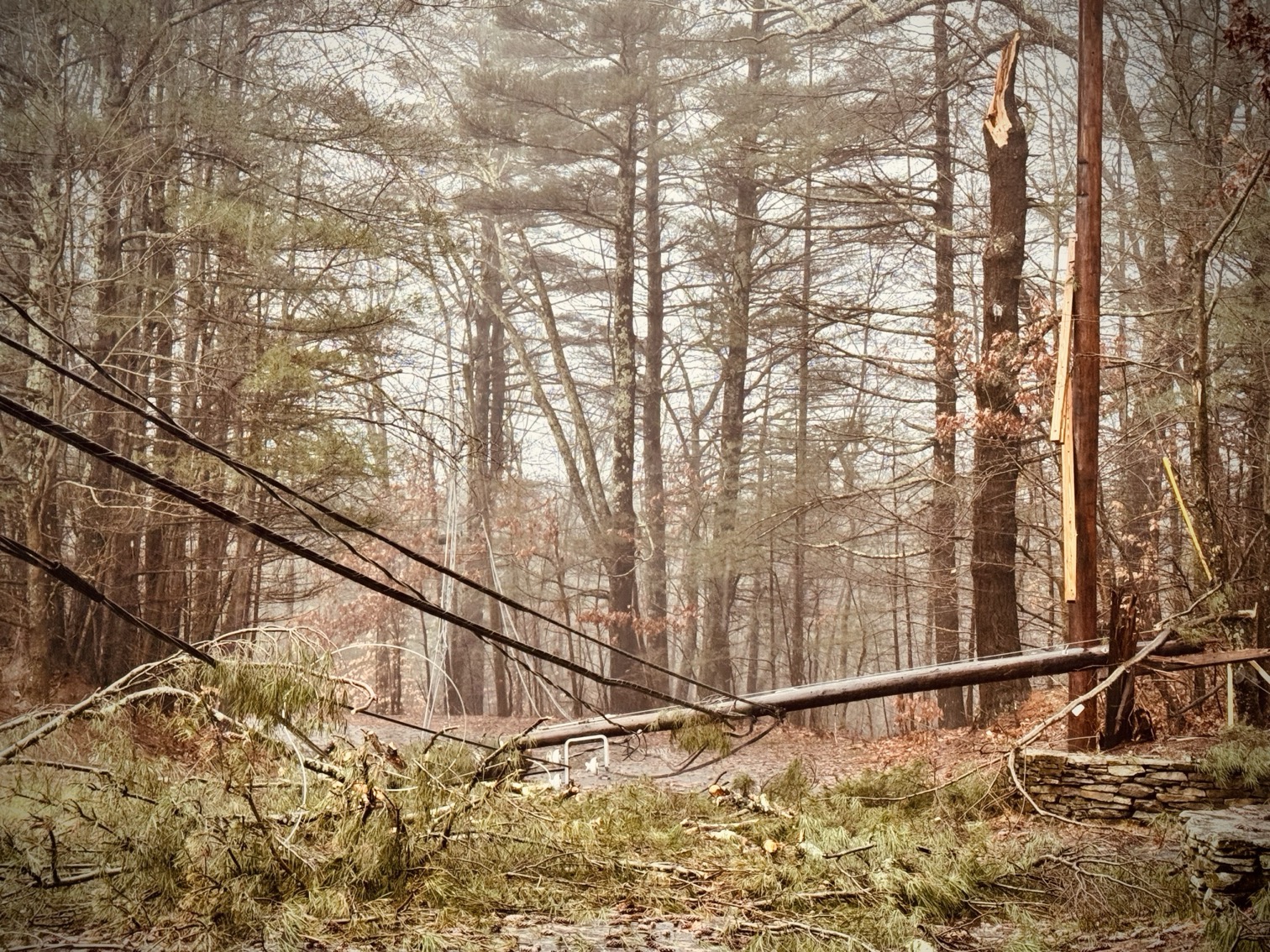 A downed power line at the corner of Pond Street and Jamie Lane forced a detour. Crews from Eversource were onsite.