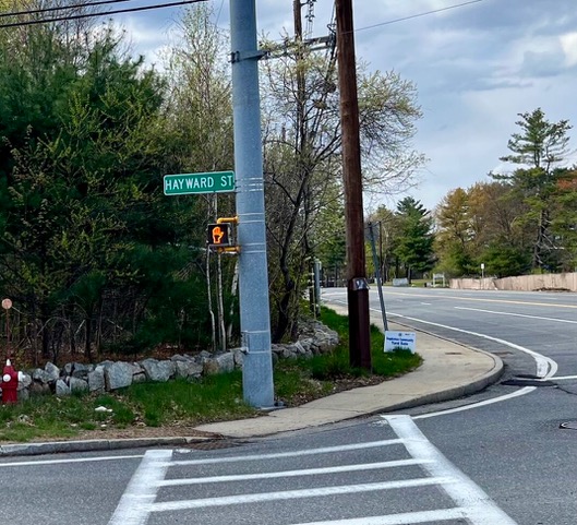 Intersection of Hayward and South Streets