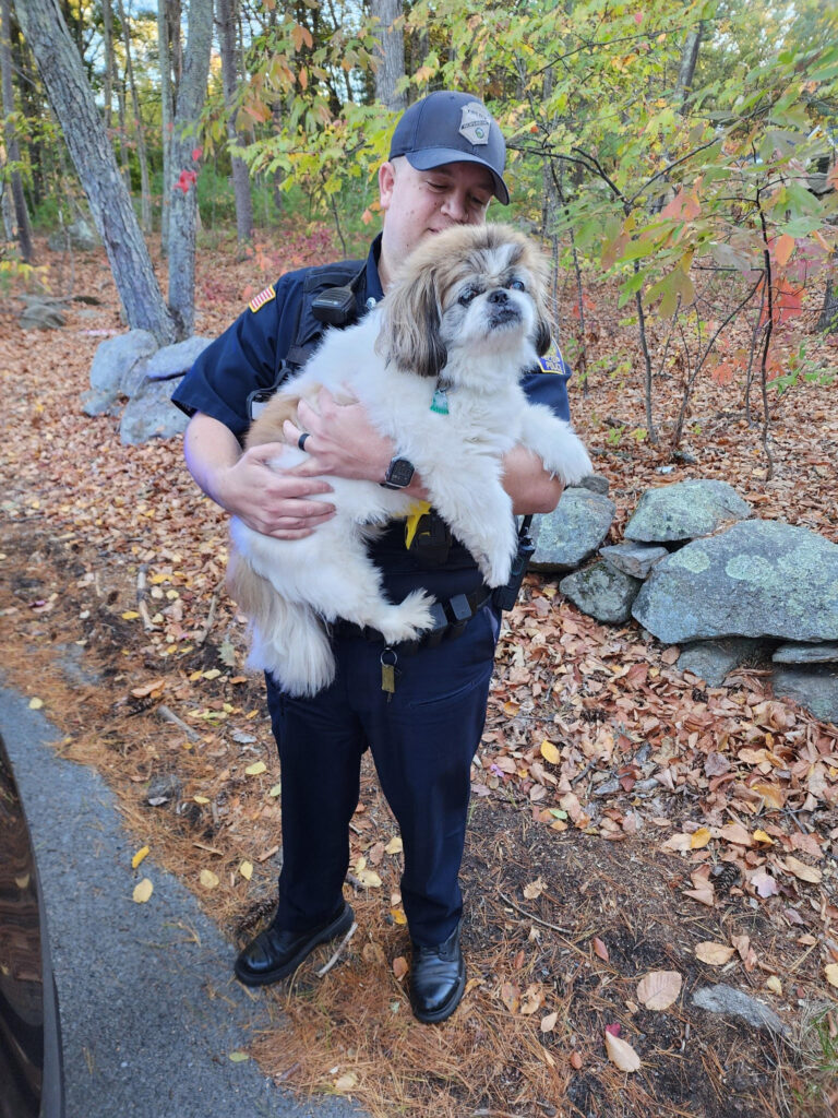 Lost Dog