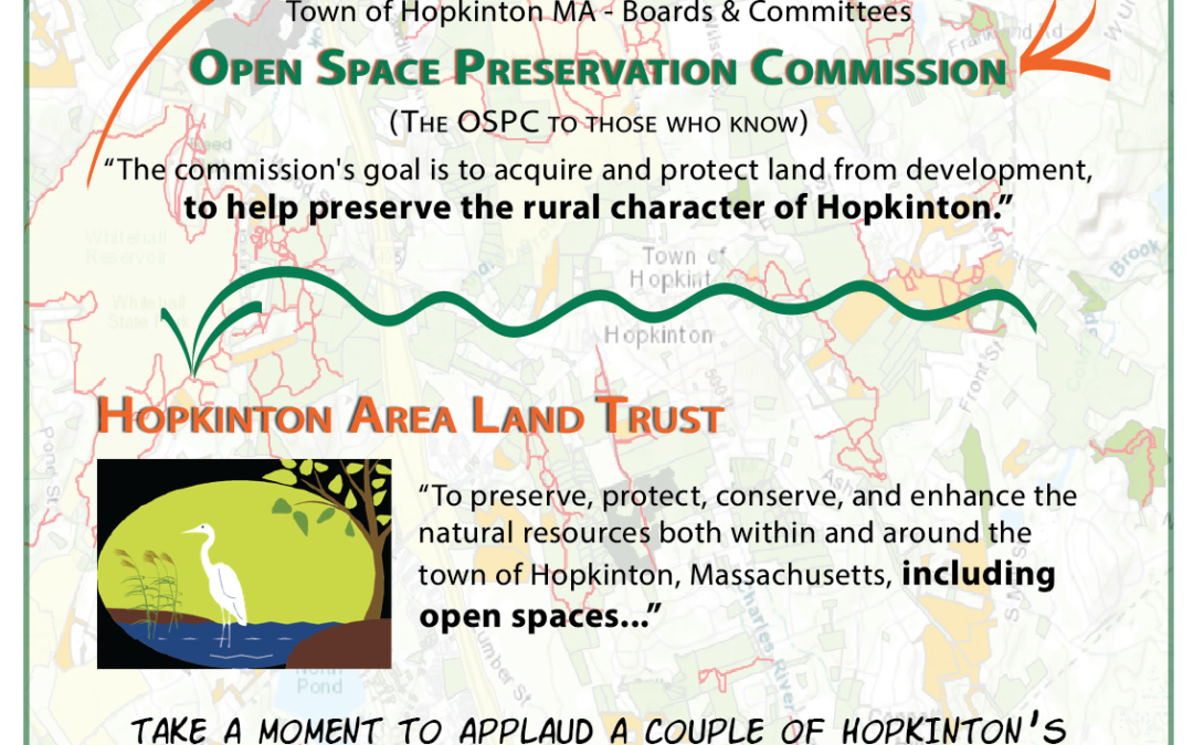 Hopkintoon: Character Conservation