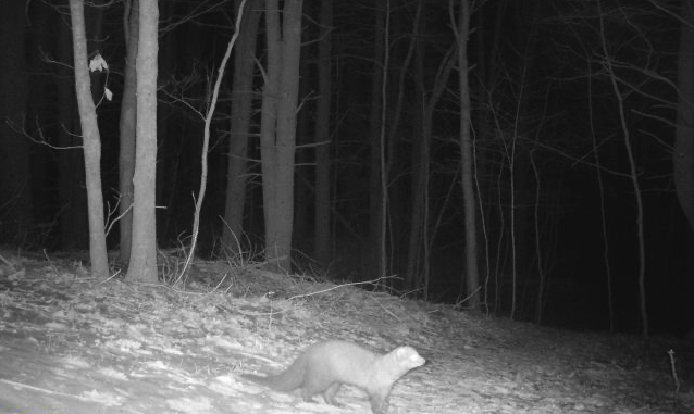 Fisher in Hopkinton, MA