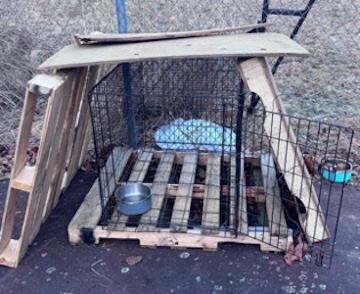 animal crate