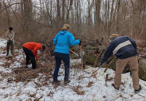 Trail Work