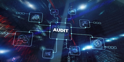 Town Audit