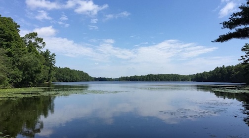 Lake Whitehall