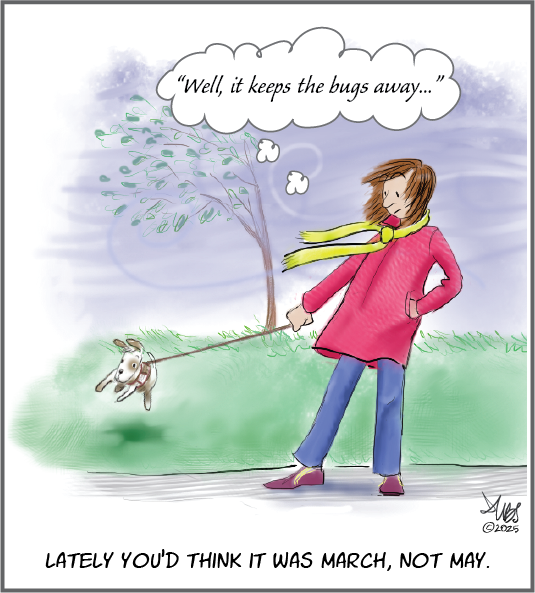 Cartoon of a woman walking a dog on a windy day.