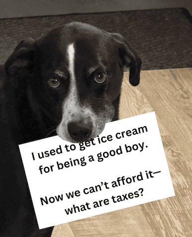 Dog holding a sign