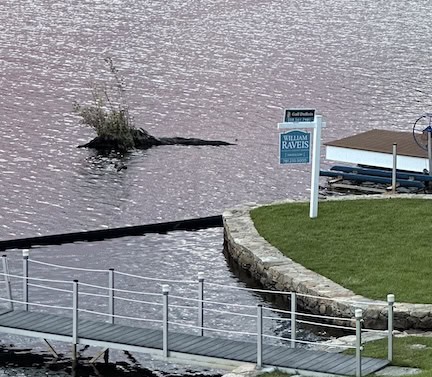 Driftwood floating in lake