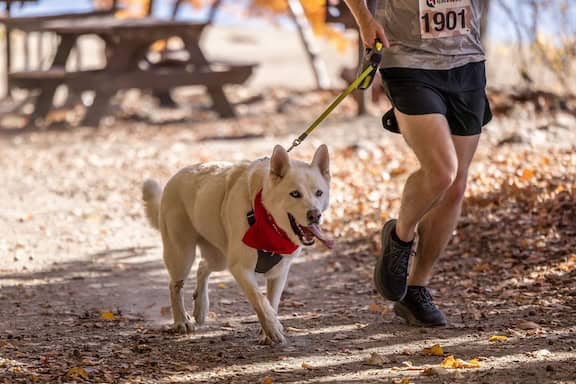 runner with dog