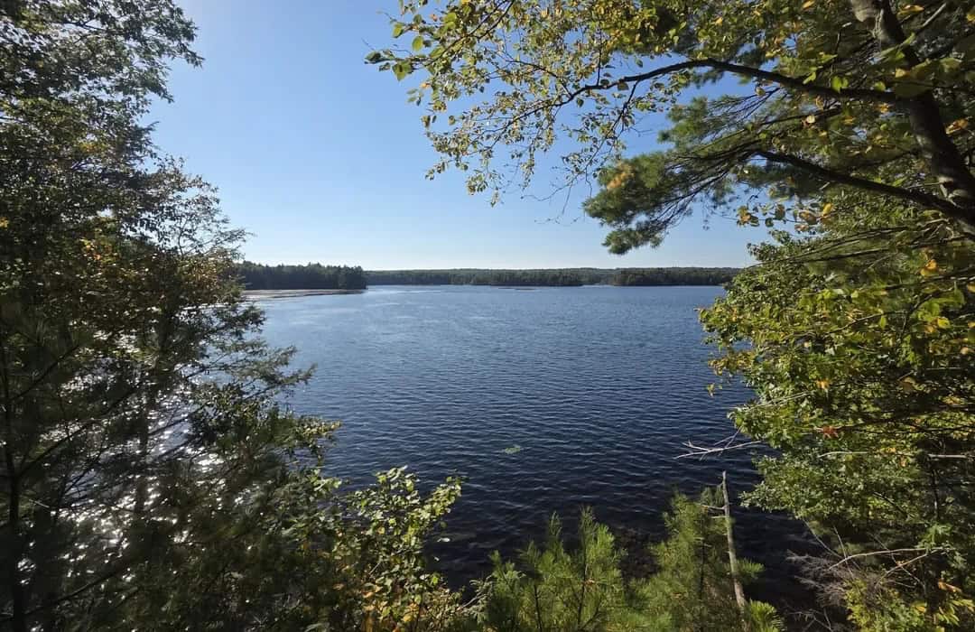 Lake with trees framing the photo