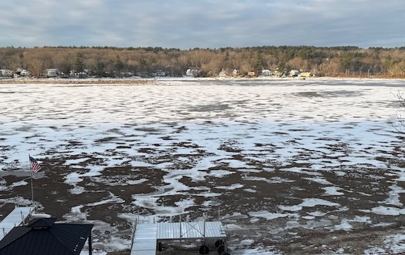 Frozen Weeds