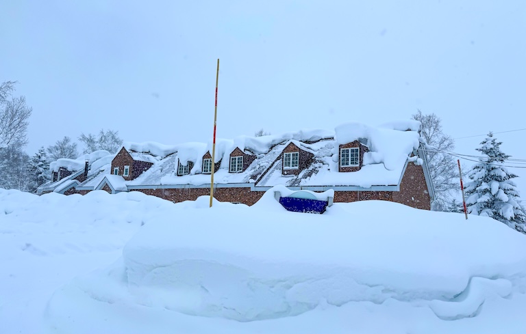 All that snow
