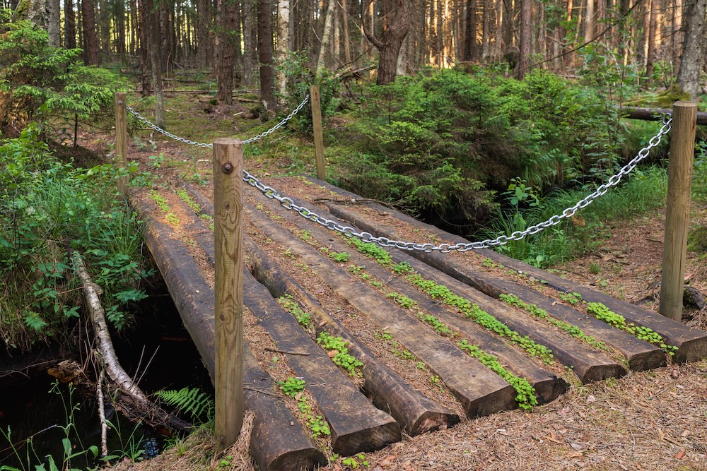 Bridge Closed