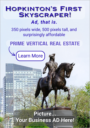 HopNews Skyscraper ad